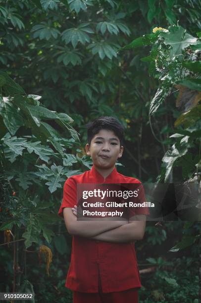 portrait of pre-adolescent boy in red with lush green foliage in the backgound - luisiana 個照片及圖片檔
