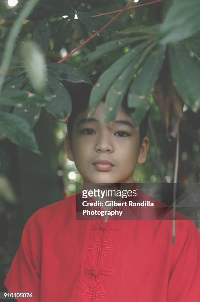 portrait of pre-adolescent boy in red with lush green foliage in the backgound - luisiana photos et images de collection