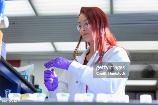 Handling Lab Sample 149 Sample Handling Stock Photos, High-Res Pictures, and Images - Getty ...