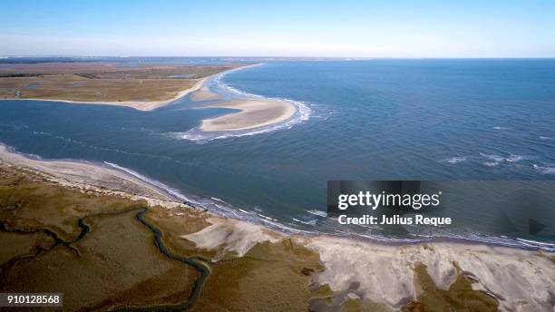 on the beach - tybee island stock pictures, royalty-free photos & images