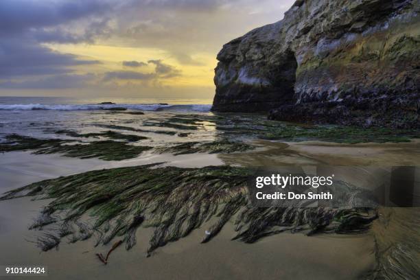 low tide at natural bridges - natural bridge state park stockfoto's en -beelden