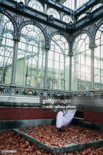 palacio de cristal - bailarina stock pictures, royalty-free photos & images