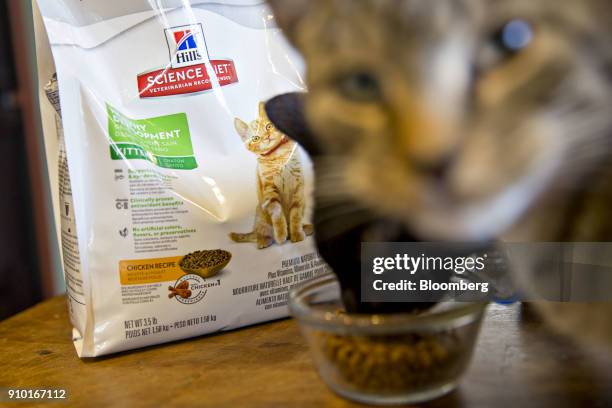 Colgate-Palmolive Co. Hill's brand cat food is arranged for a photograph in Tiskilwa, Illinois, U.S., on Wednesday, Jan. 24, 2018. The...