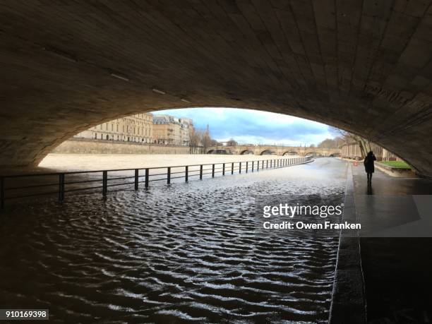 flooded seine-paris - paris flood stock pictures, royalty-free photos & images