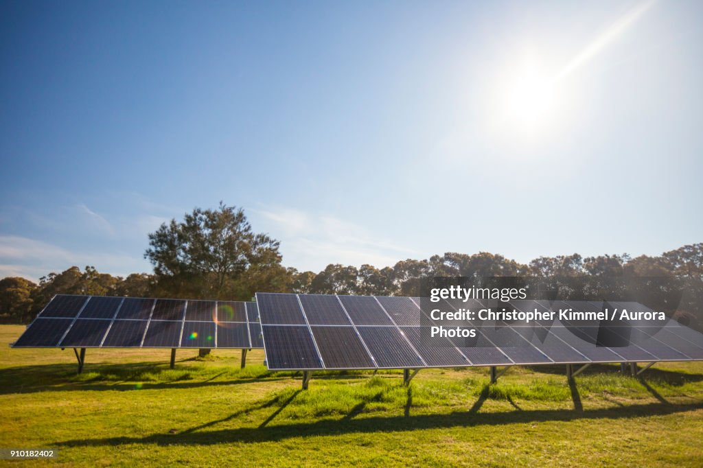 Solar panels on sunny day, Seattle, Washington, USA