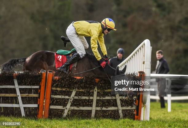 Kilkenny , Ireland - 25 January 2018; Daniel Holden on Glen's Dd at the last during the Ladbrokes Handicap Hurdle at the Gowran Park Races in Gowran...