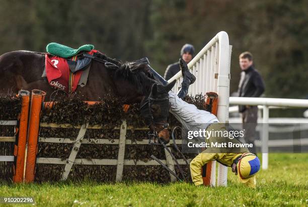 Kilkenny , Ireland - 25 January 2018; Daniel Holden on Glen's Dd at the last during the Ladbrokes Handicap Hurdle at the Gowran Park Races in Gowran...