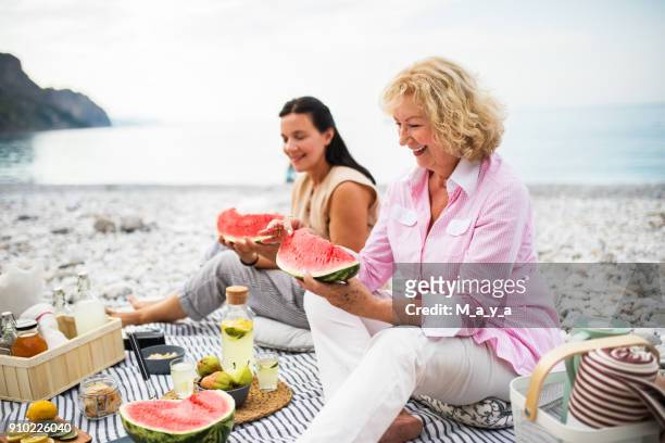 great sea-side picnic - watermelon picnic stock pictures, royalty-free photos & images
