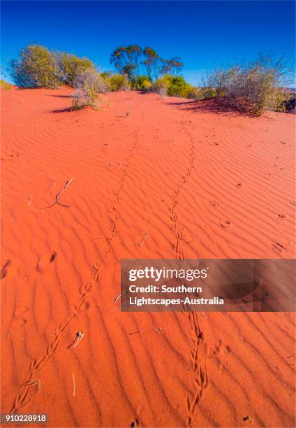 Southern Flinders Ranges Photos and Premium High Res Pictures - Getty ...