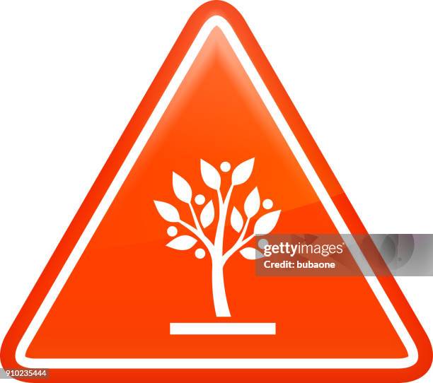 growing tree. - tree sapling isolated stock illustrations