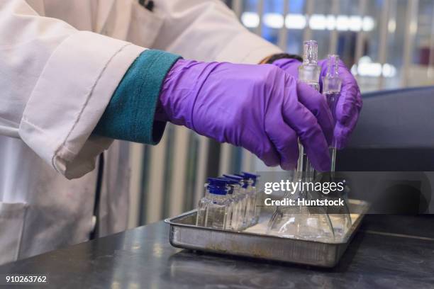 Lab Pick Up 100 Lab Picker Stock Photos, High-Res Pictures, and Images - Getty Images