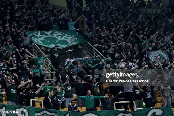 Fans of Panathinaikos react during the 2017/2018 Turkish Airlines EuroLeague Regular Season Round 20 game between Panathinaikos Superfoods Athens and...