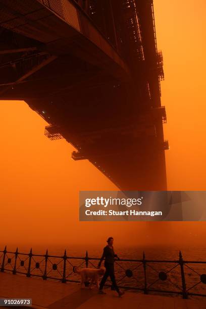 Women is seen walking her dog under the Sydney Harbour Bridge on September 23, 2009 in Sydney, Australia. Severe wind storms in the west of New South...