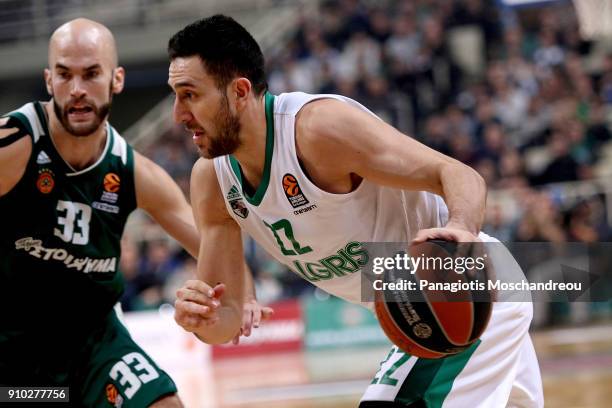 Vasilije Micic, #22 of Zalgiris Kaunas competes with Nick Calathes, #33 of Panathinaikos Superfoods Athens during the 2017/2018 Turkish Airlines...