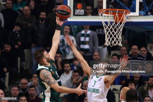 Nikos Pappas, #11 of Panathinaikos Superfoods Athens competes with Kevin Pangos, #3 of Zalgiris Kaunas during the 2017/2018 Turkish Airlines...