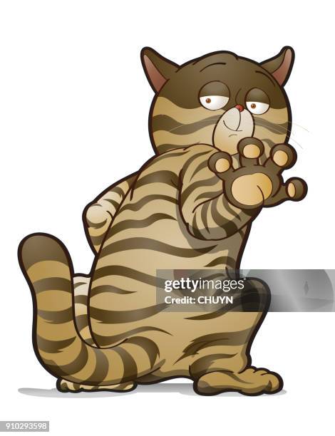 relaxed cat - maine coon cat stock illustrations