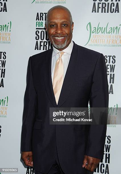 Actor James Pickens Jr. Attends 'Artists For A New South Africa Jabulani 20th Anniversary Celebration' at The Wiltern on September 22, 2009 in Los...