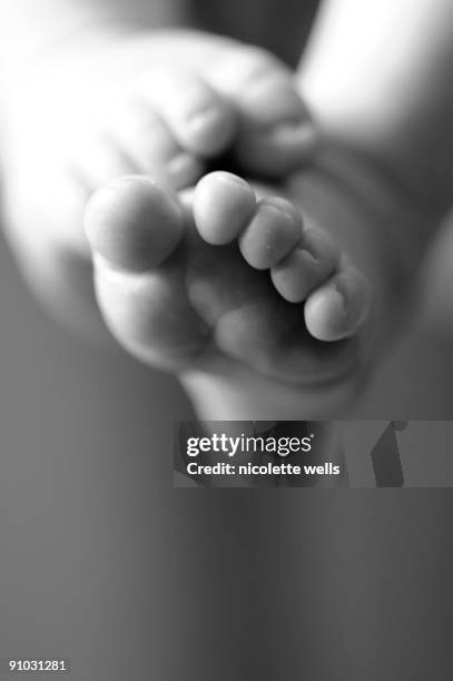 the sweetest new born babies feet in black & white - baby feet stock pictures, royalty-free photos & images