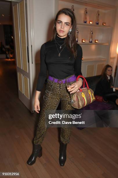 Bee Beardsworth attends the launch of Teresa Tarmey's new 'at home facial system' at Mortimer House, sponsored by CIROC, on January 25, 2018 in...