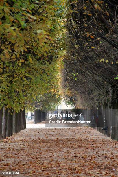 nackte seite - jardin du palais royal stock-fotos und bilder