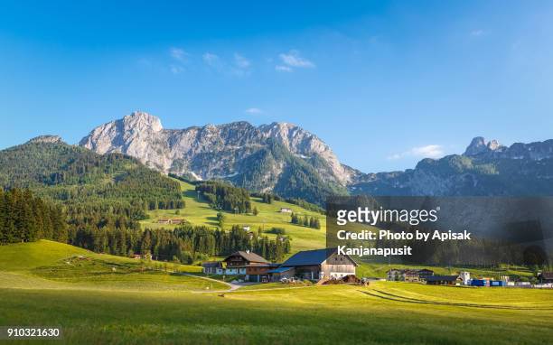 farm house in europe - austria stock pictures, royalty-free photos & images