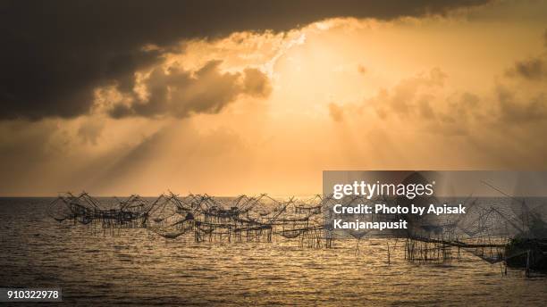 the square dip nets in the talay noi lake, phatthalung province, thailand. - phatthalung province stock-fotos und bilder