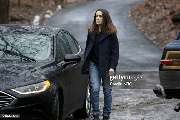 The Invisible Hand " Episode 513 -- Pictured: Megan Boone as Elizabeth Keen --