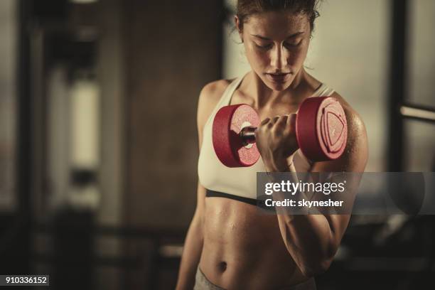 mujer atlética sudorosa ejercicio con pesas en un gimnasio. - bíceps fotografías e imágenes de stock