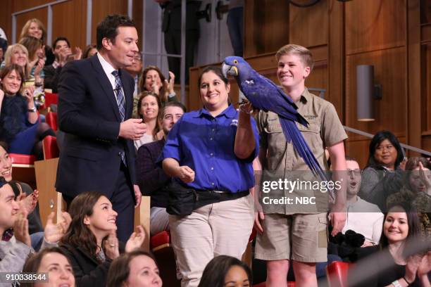 Bob Fallon 1,183 Robert Fallon Stock Photos, High-Res Pictures, and Images - Getty ...