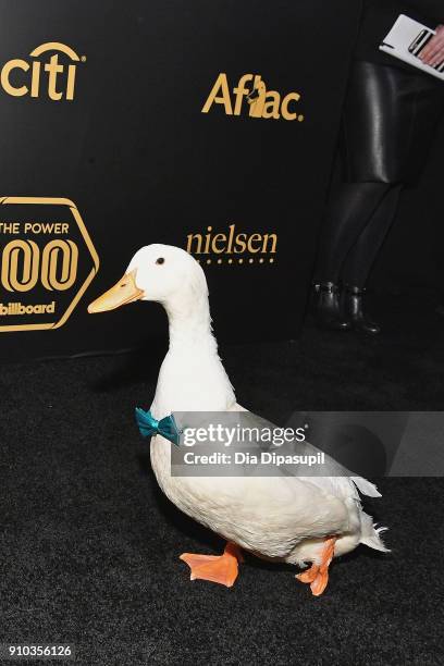 Afp Duck The Aflac Duck Photos and Premium High Res Pictures - Getty Images