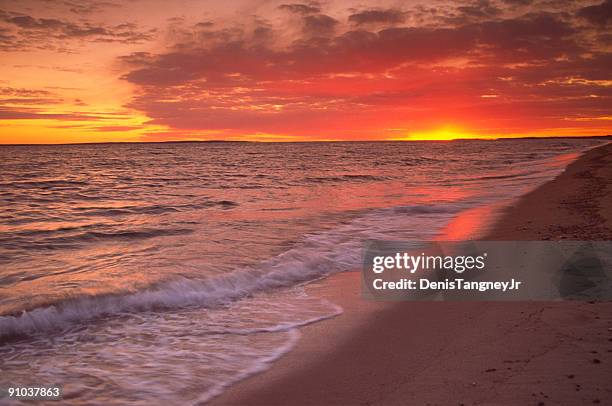 south cape - cape cod bildbanksfoton och bilder