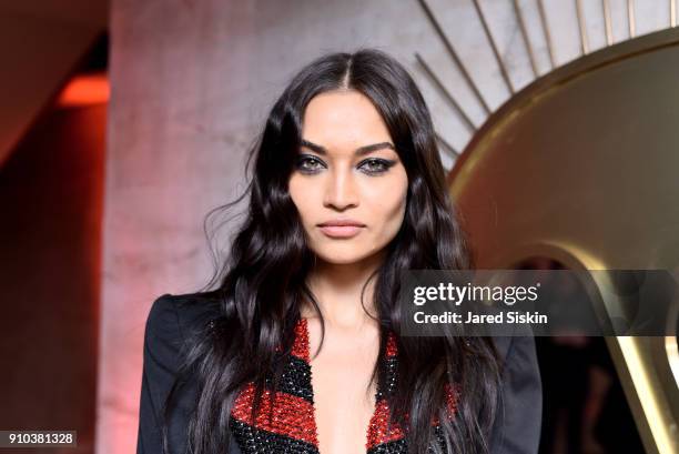 Shanina Shaik attends the Warner Music Group Pre-Grammy Party in association with V Magazine on January 25, 2018 in New York City.