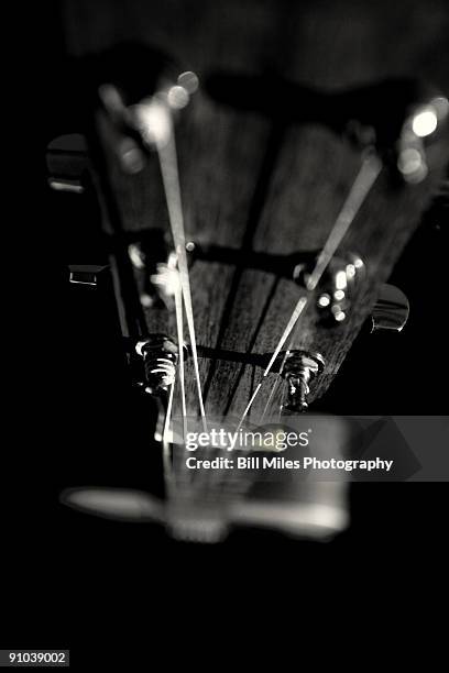 strung up - tuning peg stock pictures, royalty-free photos & images