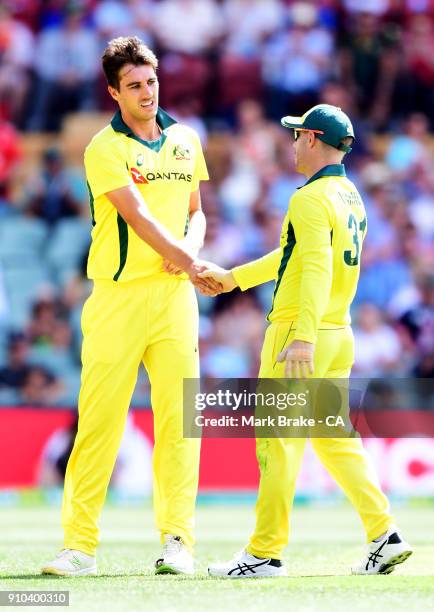 Pat Cummins and David Warner of Australia celebrates after taking the wicket of Adil Rashid of England during game four of the One Day International...