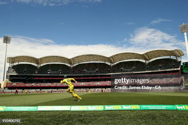 Travis Head of Australia fields on the boundary during game four of the One Day International series between Australia and England at Adelaide Oval...