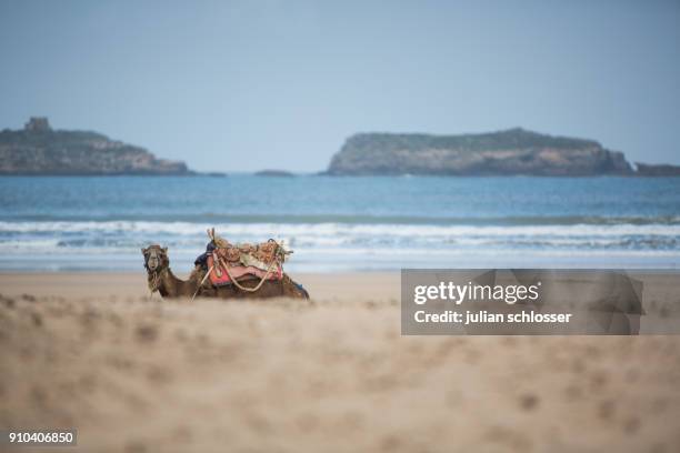 Essaouira High-Res Stock Photo