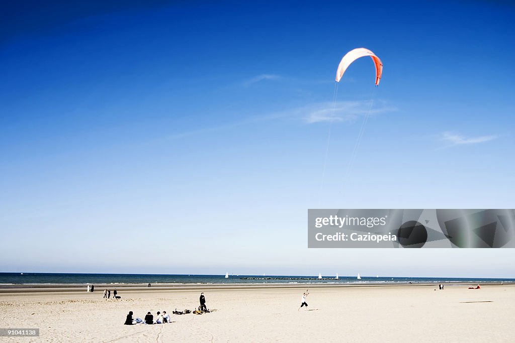 Kite on the Beach