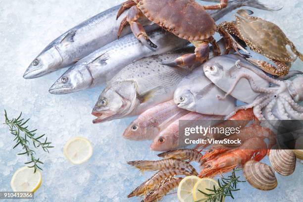 seafood - aguja imperial fotografías e imágenes de stock