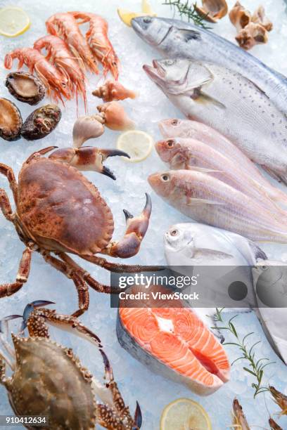 seafood - aguja imperial fotografías e imágenes de stock