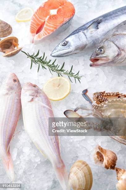 seafood - aguja imperial fotografías e imágenes de stock