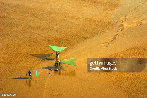 tidal flats of xiapu county,fujian province,china - ford county ground stock pictures, royalty-free photos & images