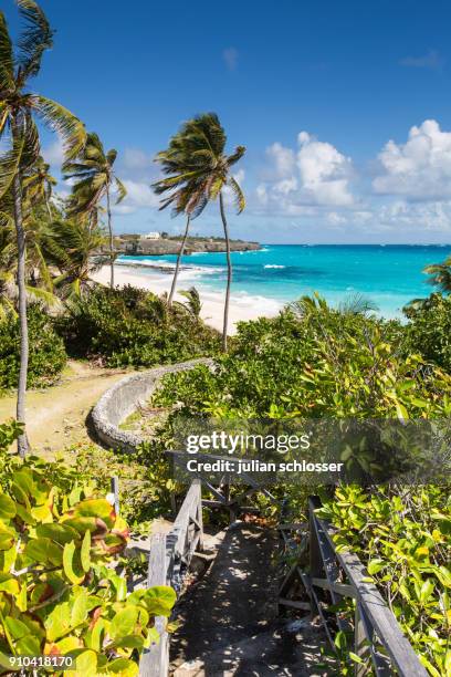 barbados - barbados stock-fotos und bilder