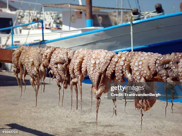 drying octopus - octopus food stock pictures, royalty-free photos & images