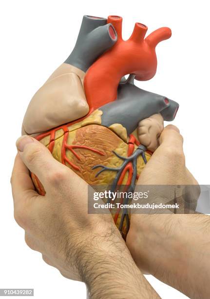 heart - doctor full body isolated stock pictures, royalty-free photos & images