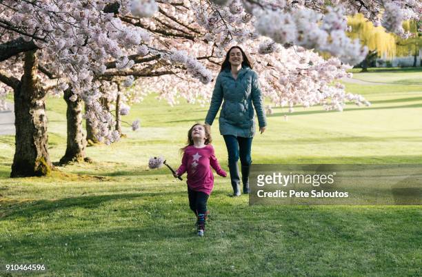 girl strolling in park with mother looking up at cherry blossom - seattle in the spring stock pictures, royalty-free photos & images