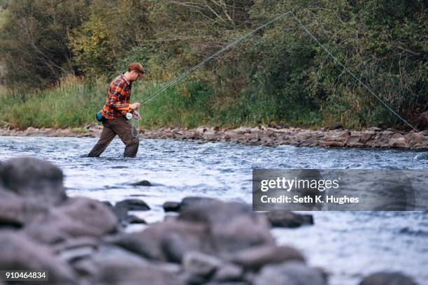 man wading in river, fishing - seth fisher stock pictures, royalty-free photos & images