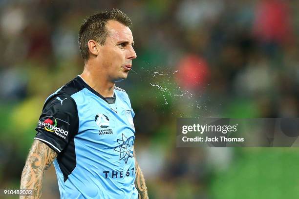 Luke Wilkshire of Sydney FC reacts during the round 18 A-League match between Melbourne Victory and Sydney FC at AAMI Park on January 26, 2018 in...