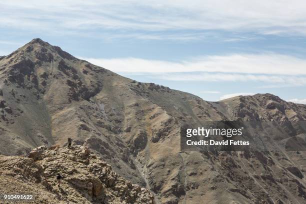 distant view of climber on top rugged mountain, altai mountains, khovd, mongolia - khovd stock pictures, royalty-free photos & images