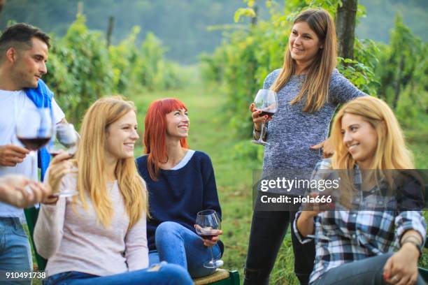 vineyard party at agriturismo in italy - aperitivo stock pictures, royalty-free photos & images