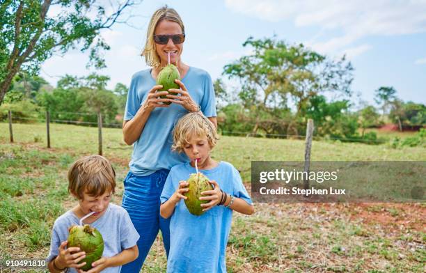 family drinking through straws from coconut, bonito, mato grosso do sul, brazil, south america - bonito brasil stock-fotos und bilder